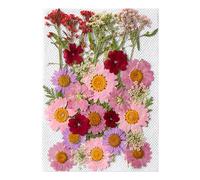 Genérico - Pegatinas De Flores Secas - 35 Piezas | Hojas Florales Para Manualidades De Bricolaje | Pegatinas De Plantas Botánicas