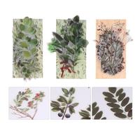 Genérico Pegatinas de Plantas para Cuadernos Diy, 120 Piezas Vintage Diseño de Hojas, Calcomanías Decorativas para Álbumes y Scrapbooking, Ideales para Agendas y Estilo Estilo Aleatorio