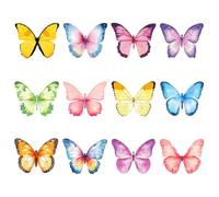 Genérico Pegatinas para Cuadernos de Notas Adhesivas Diseño Acuarela de Mariposas 12 Cuadernos de Notas Autoadhesivas para Oficina Hogar y Uso Diario para Memo y Recordatorios