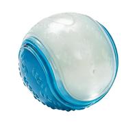 Generico Pelota para perros que en la oscuridad | Juegos interactivos en con Gorjeo | Pelota de juego para perros, para reducir el aburrimiento, viajar, playa, jardín, casa, interior y exterior