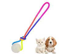 Genérico Pelotas para Perros Mascadores Agresivos - Juguete Rebotando Luminiscente Masticar con Cuerda,Juguetes Interactivos Recordatorio | para Mascadores Agresivos Educación Cachorros Anti-Aburrido
