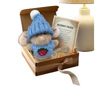 Generico Peluches Lapin Douces | Compagnon Portable à Étreindre | Petits Jouets en Peluche pour pour Fille Anniversaire Noël Pâques Saint-Valentin Canapé Bureau Réconfort et Jeu