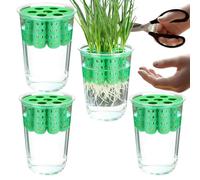 Genérico Pequeño Cultivador de Cebolletas Verdes, Hidropónico para Cebolletas, Propagador Transparente, Recipiente para Plantar, para Huerto en Ventana, Hogar, Interior o Rincón de