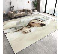 Genérico Perro Labrador Retriever Alfombra Salon Grande Lavable en Lavadora, Gris Cachorro Alfombra Pelo Corto Imitación Cachemira Abstracta Antideslizante para Dormitorio 100x150 cm D-38