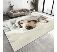 Genérico Perro Labrador Retriever Alfombras Salon Grande Cachorro Alfombras de habitacion Moderna Pelo Corto para Salón Alfombra de Juegos Dormitorio Felpudo Entrada Casa 100x150 cm D-73