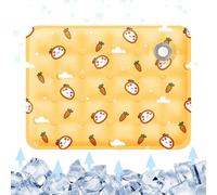 Genérico Pet Cooling Mat Bed - 30x40cm PVC Gel Dog Pad, Heat Relief Water Filled Cooling Cushion, Portable Summer Pet Sleeping Mat, Anti Heat Bed | Pad For Dogs Small Medium Large Summer Co