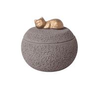 Genérico Pet Keepsake - 350 Ml Pet Ashes Box | Cement Cremation Urns - Smooth Decorative Urn For Puppies Cats Holding Ashes Memorial Funeral Sympathy Remembrance Gift For Loss