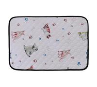 Genérico Pet Potty Training Mat, Water Absorbent Pee Mat, Car Kennel Floor Protection, Versatile and Long Lasting, for Use in Car, Kennels, Crates, and Other Areas, 27,56 x 19,69 pulgadas