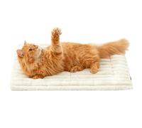 Genérico Pet Self Warming Mat, Self Heating Cat Dog Bed, Washable & Non-Slip Crate Mat,Soft Corduroy Fleece, Indoor Outdoor Pet Blanket for Puppies & Kittens (Beige,L:20 * 30in)