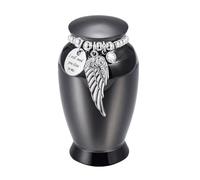 Genérico Pet Urn - Cremation Urns, Metal Ash Keepsake Container, 2.76 Inch Memorial Dog Ashes | Paws Engraved For Cat Puppy Animal Funeral Storage Remembrance Home Shelf Indoor Outdoor Decoration