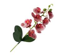 Genérico Phalaenopsis Artificiale - Orchidea Finta 7 Fiori 3 Foglie | Phalaenopsis Artificiale | Ramo Decorativo Realistico per Vaso | Sintetico Casa Matrimonio Soggiorno Ufficio Evento