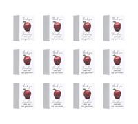 Genérico Piedras Agradecimiento Profesorado,Set de 12 de Escritorio,Decoración de para Maestros - para Maestras De Escuela Infantil Y Colegio