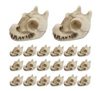 Generico Piedras decorativas para macetas, guijarros decorativos con forma de huesos de dragón | Decoración de resina de 20 piezas para jardín, paisajismo, interior y exterior acuario