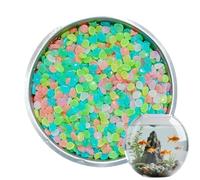 Generico Piedras para acuario fluorescentes - 500 piedras de resina de colores | Piedras decorativas brillan en la oscuridad | para sendero jardín estanque