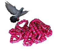 Genérico Pigeon Bands Rings, 50pcs Safe Birdhouse Accessories, Bright Colors Size Pegeon Accessories Easy To Distinguish