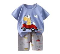 Genérico Pijama Niños Suave Verano,Camiseta y Pantalones Cortos Conjunto de Pijamas para bebés pequeños Color Liso, cómodo Albornoz niño Animal 2 a 11 años