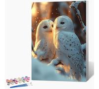 Genérico Pintar por Numeros Adultos BúHo Cuadros para Pintar por Numeros Nieve Paint by Numbers Adult DIY Manualidades Adultos Kit Lienzo Pintura Para Decoración Del Hogar Sin Marco 60x90cm 4-NY52