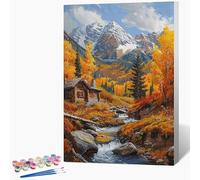 Genérico Pintar por Numeros Caer Pintar por Numeros MontañA Painting by Numbers DIY Kit Pintura Entretenimiento Adultos Principiante Paintings Kits, Decoracion Hogar Regalo Sin Marco 50x80cm M-NA95