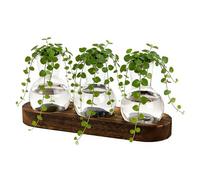 Genérico Plant Propagation Jars - Decorative Rooting Container, Wood Frame Hydroponic Glass Planter, Stylish Glass Vase, Plant Display and Indoor Gardening, Home Workplace Counter Office