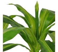 Genérico Planta de drácena Artificial con Maceta 100 cm Verde,Casa y jardín,Decoración,Flora artificial-244451