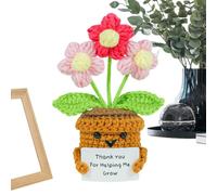 Genérico Planta de Flores a Crochet de Agradecimiento,Decoración de Escritorio de Agradecimiento Hecha a Mano - Planta Tejida a Mano | para Mamá Mujer Maestra Graduación Día del Padre Cumpleaños