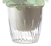 Genérico - Planter Vase, Indoor & Outdoor Garden Pot, 11x11.5 cm, Self-Watering, Clear, Perfect for Small Plants and Flowers