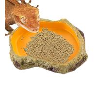 Genérico Plato de Agua para Reptiles, Cuenco de Agua para Reptiles | Estación de alimentación de Cuenca de para Tanque de para Serpientes,Terrario de alimentación Seguro Multifuncional para repti