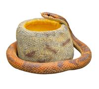 Genérico Plato para Reptiles - y Bebedero Antideslizante de Resina | Hecho de Resina para Dragón Barbudo,para Geckos, Tortugas, Erizos de Mar y Arañas, para Uso en Interior y Hogar