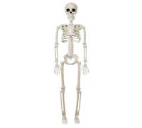 Generico Posable Skeleton | Posable Halloween Skeleton Decor - Graveyard Props Skull Figurine Bone Statue Ornament for Indoor Outdoor Tabletop Yard Mantel Desktop Shelf