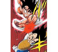 Genérico Póster Lámina Dragon Ball Z Goku vs Vegeta Kaioken. Tamaño A4 (210 x 297 mm). Ideal Para enmarcar o colocar directamente en la pared. Papel fotográfico premium Glossy de 255gr/m2