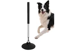 Genérico Postes de Fútbol,Equipo Deportivo Multifuncional Portátil Suave de 60 cm,Postes De Velocidad para Entrenamiento De Fútbol - para Baloncesto, Béisbol, Caballo Y Perro