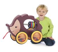Genérico Pull Along Toys for Kids, Animal Car Pull Along Toy, Educational Toddler Car Animal Pull Toy, Toy Cars Pull & Push Car for Boys and Girls Ages Over 1
