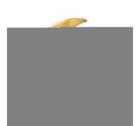 Genérico Pulsera De Estrella Y Luna | Pulseras De Luna Y Estrella Con Brazalete Abierto - Joyería De Moda Regalo Sentimental Para Adolescentes Mujeres Familia Parejas Amigos