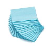 Genérico Quick Dry Absorbent Puppy Pee Pads Dog Diapers Training Mats Clean Cushion Pet Supplies(100pcs 33x45cm)