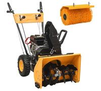 Genérico Quitanieves y barredora de Gasolina 2 en 1 6,5 HP,Casa y jardín,Jardín,Maquinaria de jardinería,Barredoras eléctricas,105.65 KG,152161