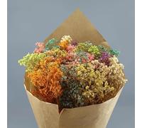 Genérico Ramo de paniculata Flores Preservadas Multicolor, 45 cm, Paniculata Natural en Papel Kraft, Decoración para el Hogar