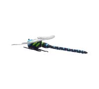 Genérico Realistic Dragonfly - PVC Wing 12cm Body 11cm | 3D Fake Dragon Fly Toy For Kids | Educational Animal Figurines Outdoor Decor | For Entertainment Learning Demonstration Lawn Patio Classroo