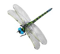 Genérico Realistic Dragonfly - PVC Wing 12cm Body 11cm | 3D Fake Dragon Fly Toy For Kids | Educational Animal Figurines Outdoor Decor | For Entertainment Learning Demonstration Lawn Patio Classroo