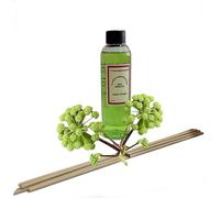 Genérico Recambio Mikado Raiz de Angelica 150 ml