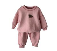 Genérico Recién Nacido Bebé Niñas Niños Otoño Oso Algodón Manga Larga Pantalones Largos Sudadera Con Capucha Pantalones Deportivos Conjunto Trajes Ropa (12-18 Months)