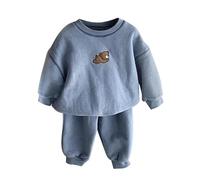 Genérico Recién Nacido Bebé Niñas Niños Otoño Oso Algodón Manga Larga Pantalones Largos Sudadera Con Capucha Pantalones Deportivos Conjunto Trajes Ropa (Blue, 12-18 Months)