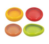 Genérico Recipiente Almacenador De Aguacates | 4 Piezas Reutilizables Herméticas con,Conservador De Cebollas | para Cebollas Tomates Limones y otras Frutas y Verduras en