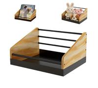 Genérico Record Holder Stand - Álbum de almacenamiento en rack, Space Saving with Durable Design, Tabletop Rack, Album Display, Record Accessory for LP Book File Toy Home Living Room Apartment Office