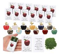 Genérico Recuerdo de Agradecimiento a Maestros,Lotes de Forma de Fruta con,Detalle para Maestros en Acción de Gracias | para Aula, Graduación, Cumpleaños, Niños,