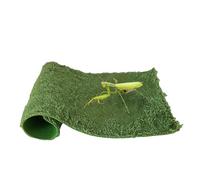 Genérico Reptile Carpet - Floor Mat, 1 Piece Vivarium Liner For Moist Control, Cuttable Terrarium Rug with Fiber, Habitat Element, Absorbent Pad For Snakes, Chameleons, Lizards and Amphibians