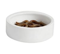 Genérico Reptile Feeding Dish - Ceramic White 7.5cm To 12.5cm | Hermit Crab Food Dish For - Small Snake Lizard Chameleon Hermit Crab Bearded Dragon Tortoise Spider