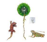 Generico Reptile Habitat - Terrarium Decor Moss Balls Shape Shelter,Reptile Shelter - for Leopard Geckos Gecko Bearded Dragon Snakes Tarantulas Hermit Crab Frog Lizard Indoor Outdoor