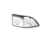 Genérico Retrovisor Luz Señal Para Kia Para Sedona Para Carnival 2010 2011 2012 2013 2014 876244D000 876144D000 Luz Espejo Lateral Coche Señal Giro Indicadores Ámbar Luces Indicadoras(bien)
