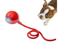 Genérico Rolling Interactive Ball, Cat Toy, Adjustable Unpredictable Motion Smooth Ball Interactive for Bored Indoor Adult Cats, Diameter 5.1cm, Length 40cm, Blue, Yellow, Red, Gray