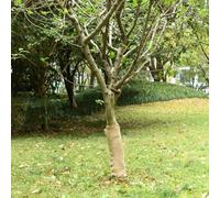 Genérico Rollo de Yute 0,5x25 m 100% Yute 200 g/m²,Casa y jardín,Decoración-155798